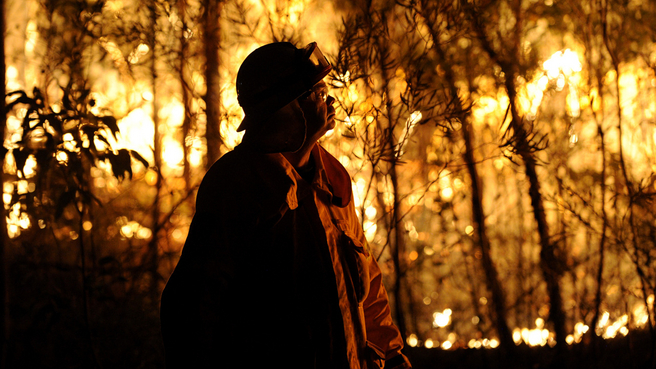 Scene from Blue Mountain Fires